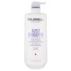 Goldwell Dualsenses Just Smooth Regenerator za žene 1000 ml