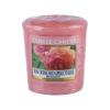 Yankee Candle Sun-Drenched Apricot Rose Mirisna svijeća 49 g
