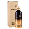 Montale Leather Patchouli Parfemska voda 100 ml