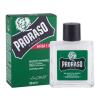 PRORASO Eucalyptus Beard Balm Balzam za bradu za muškarce 100 ml