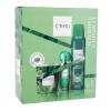 C-THRU Luminous Emerald Poklon set toaletna voda 30 ml + dezodorans 150 ml + svijeća