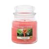 Yankee Candle The Last Paradise Mirisna svijeća 411 g
