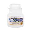 Yankee Candle Midnight Jasmine Mirisna svijeća 104 g