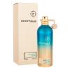 Montale Intense So Iris Parfemska voda 100 ml
