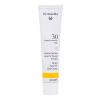 Dr. Hauschka Tinted Face Sun Cream SPF30 Proizvod za zaštitu lica od sunca za žene 40 ml