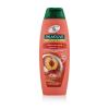 Palmolive Naturals Hydra Balance 2in1 Šampon za žene 350 ml