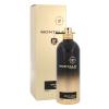 Montale Spicy Aoud Parfemska voda 100 ml