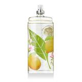 Elizabeth Arden Green Tea Citron Freesia Toaletna voda za žene 100 ml tester
