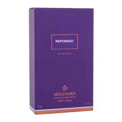 Molinard Les Elements Collection Patchouli Parfemska voda 75 ml