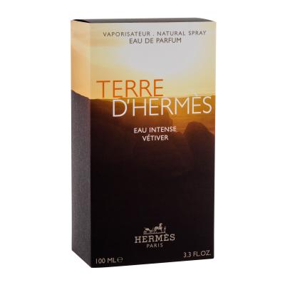 Hermes Terre d´Hermès Eau Intense Vétiver Parfemska voda za muškarce 100 ml