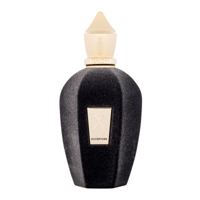 Xerjoff Ouverture Parfemska voda 100 ml