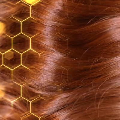 Garnier Botanic Therapy Honey &amp; Beeswax Šampon za žene 250 ml