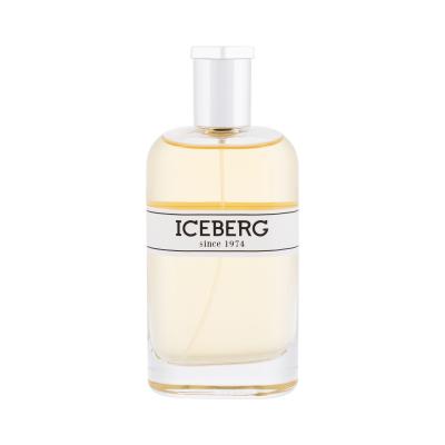 Iceberg Iceberg Since 1974 For Him Parfemska voda za muškarce 100 ml