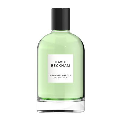 David Beckham Aromatic Greens Parfemska voda za muškarce 100 ml