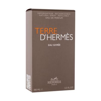 Hermes Terre d´Hermès Eau Givrée Parfemska voda za muškarce 100 ml