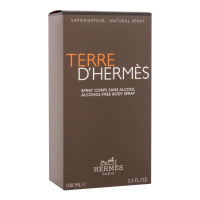 Hermes Terre d´Hermès Sprej za tijelo za muškarce 100 ml