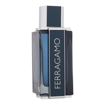 Ferragamo Ferragamo Intense Leather Parfemska voda za muškarce 100 ml