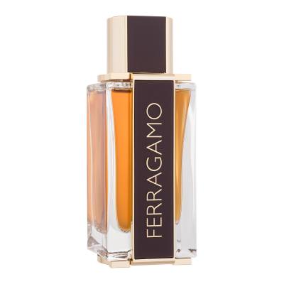 Ferragamo Ferragamo Spicy Leather Parfem za muškarce 100 ml