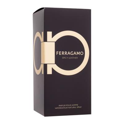 Ferragamo Ferragamo Spicy Leather Parfem za muškarce 100 ml