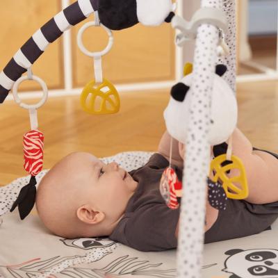 Canpol babies BabiesBoo Sensory Educational Play Mat Igračka za djecu 1 kom