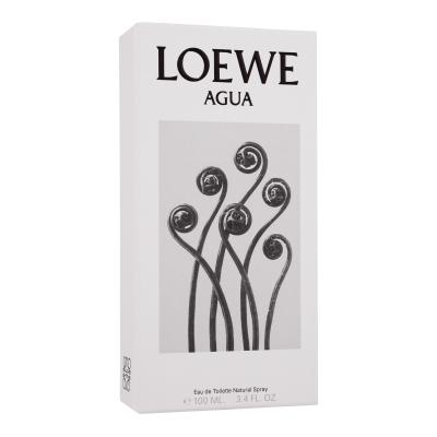 Loewe Agua Toaletna voda 100 ml