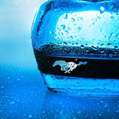 Ford Mustang Mustang Blue Toaletna voda za muškarce 100 ml