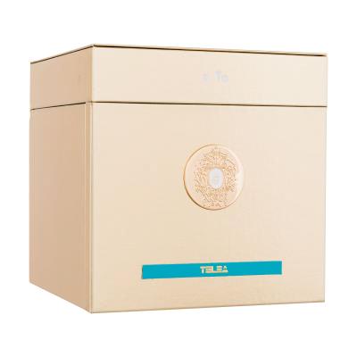 Tiziana Terenzi Telea Parfemski ekstrakt 100 ml