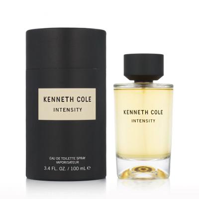 Kenneth Cole Intensity Toaletna voda 100 ml