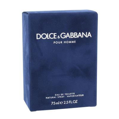 Dolce&amp;Gabbana Pour Homme Toaletna voda za muškarce 75 ml