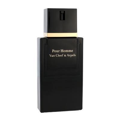 Van Cleef &amp; Arpels Pour Homme Toaletna voda za muškarce 100 ml