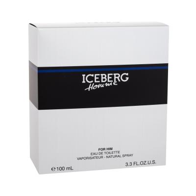 Iceberg Homme Toaletna voda za muškarce 100 ml