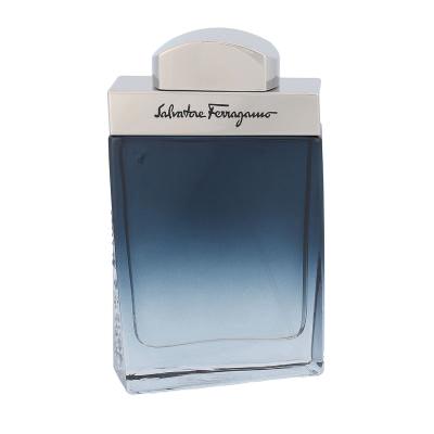 Ferragamo Subtil Pour Homme Toaletna voda za muškarce 50 ml