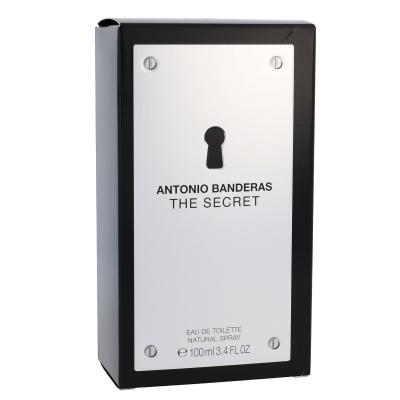 Antonio Banderas The Secret Toaletna voda za muškarce 100 ml