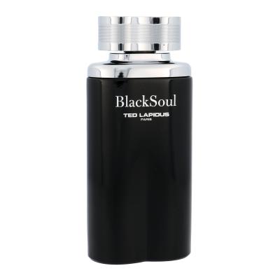 Ted Lapidus Black Soul Toaletna voda za muškarce 100 ml