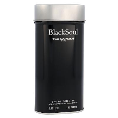 Ted Lapidus Black Soul Toaletna voda za muškarce 100 ml