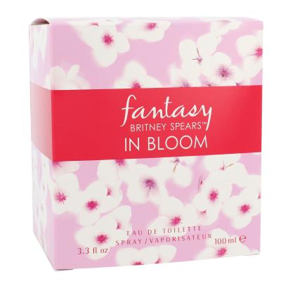 Britney Spears Fantasy in Bloom Toaletna voda za žene 100 ml