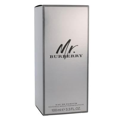 Burberry Mr. Burberry Parfemska voda za muškarce 100 ml