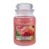 Yankee Candle Sun-Drenched Apricot Rose Mirisna svijeća 623 g