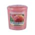 Yankee Candle Sun-Drenched Apricot Rose Mirisna svijeća 49 g