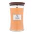 WoodWick Seaside Mimosa Mirisna svijeća 610 g
