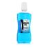 Zidac Laboratories Absolute Ice Coolmint Mouthwash Vodice za ispiranje usta 500 ml