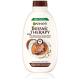Garnier Botanic Therapy Coco Milk & Macadamia Šampon za žene 250 ml