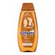 Schwarzkopf Schauma Argan Oil & Repair Shampoo Šampon za žene 400 ml