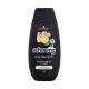 Schwarzkopf Schauma Men Anti-Dandruff Intense Shampoo Šampon za muškarce 250 ml