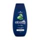Schwarzkopf Schauma Men Classic Shampoo Šampon za muškarce 250 ml