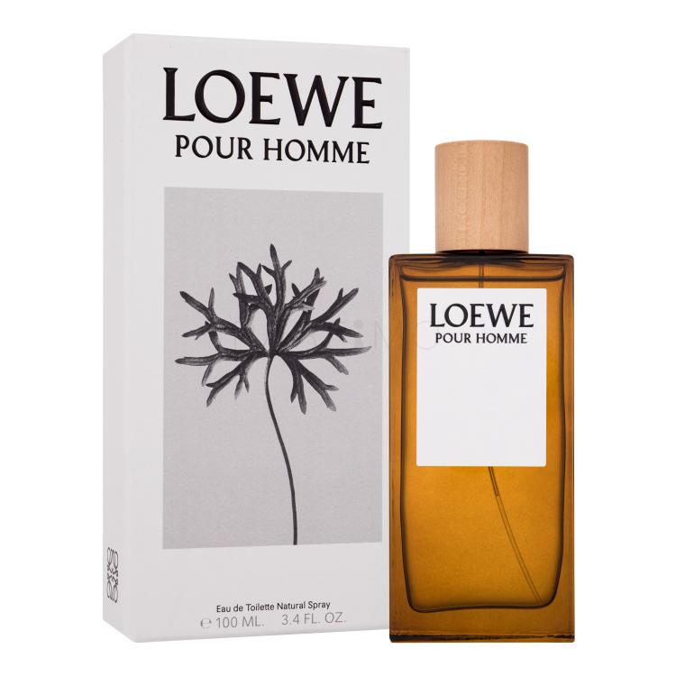 Loewe Pour Homme Toaletna voda za muškarce 100 ml