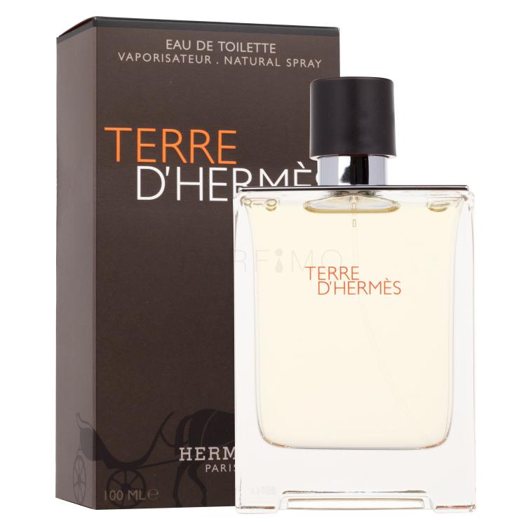 Hermes Terre d´Hermès Toaletna voda za muškarce 100 ml