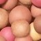 Puder u prahu Guerlain Météorites Light-Revealing Pearls of Powder 25 g 04 Amber/Ambre