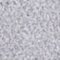 Sjenilo za oči Artdeco Eyeshadow Pearl 0,8 g 06 Pearly Light Silver Grey