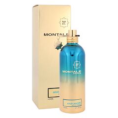 Parfemska voda Montale Aoud Lagoon 100 ml